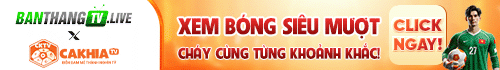 banner-footer