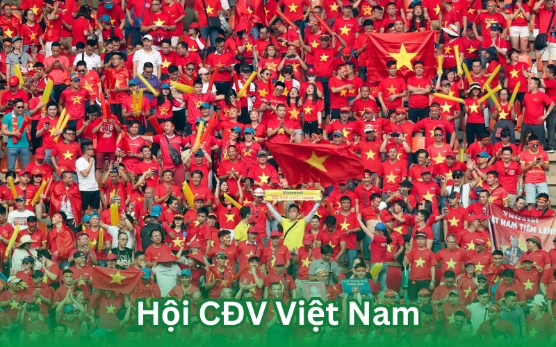 Hội CĐV Việt Nam - Biểu Tượng Của Tinh Thần Đoàn Kết